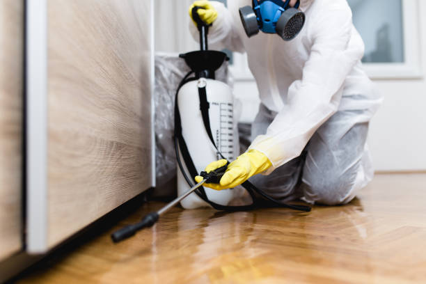 Best Local Pest Control Services  in Lake Camelot, WI