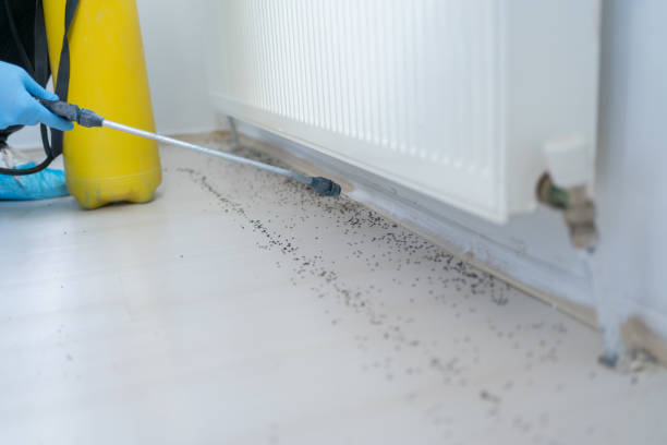 Best Pest Control Near Me  in Lake Camelot, WI