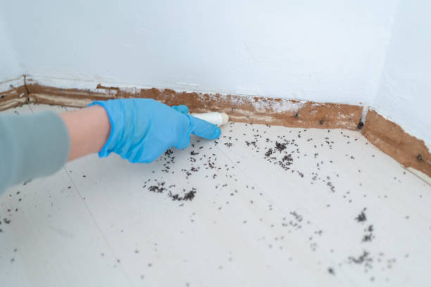 Best Mosquito Control Services  in Lake Camelot, WI